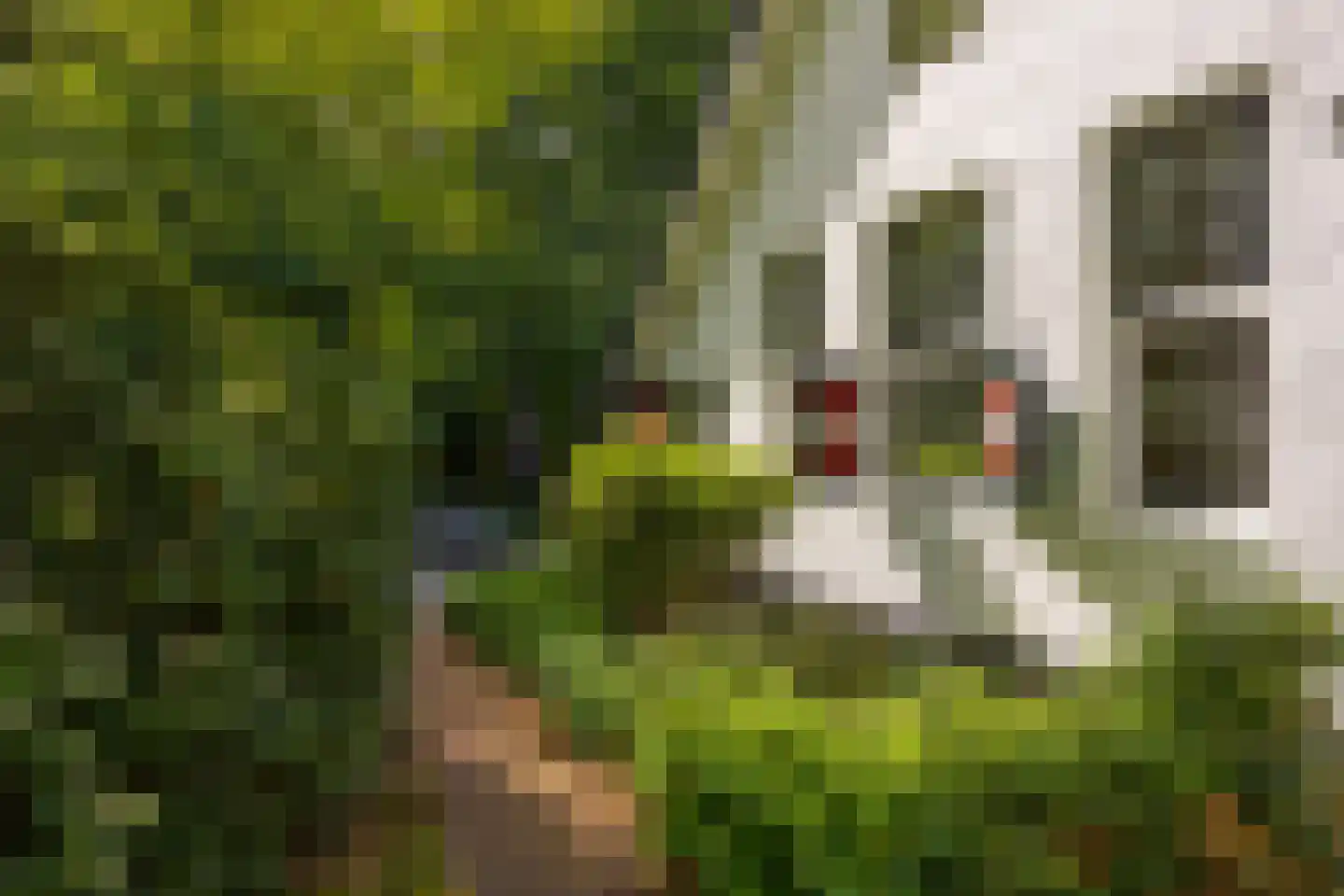 Hoge Vuurseweg 5 Lage Vuursche thumbnail 7