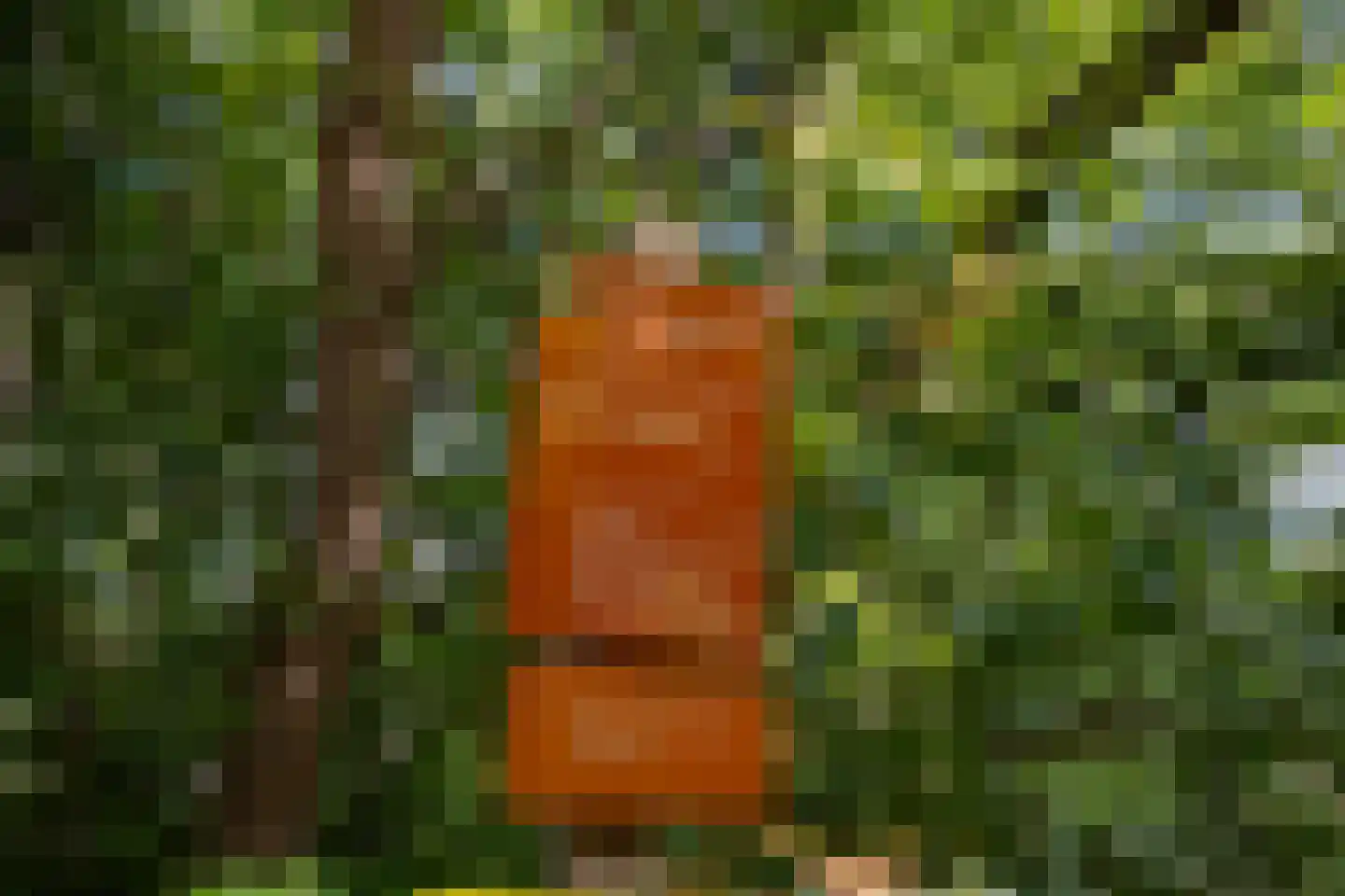 Hoge Vuurseweg 5 Lage Vuursche thumbnail 8