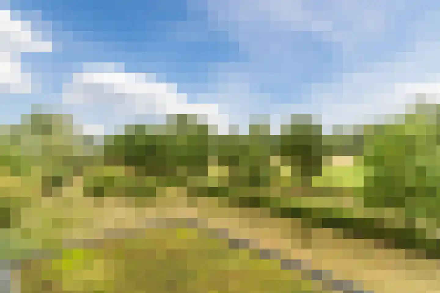 Hoge Wal 49 04 Goirle thumbnail 12