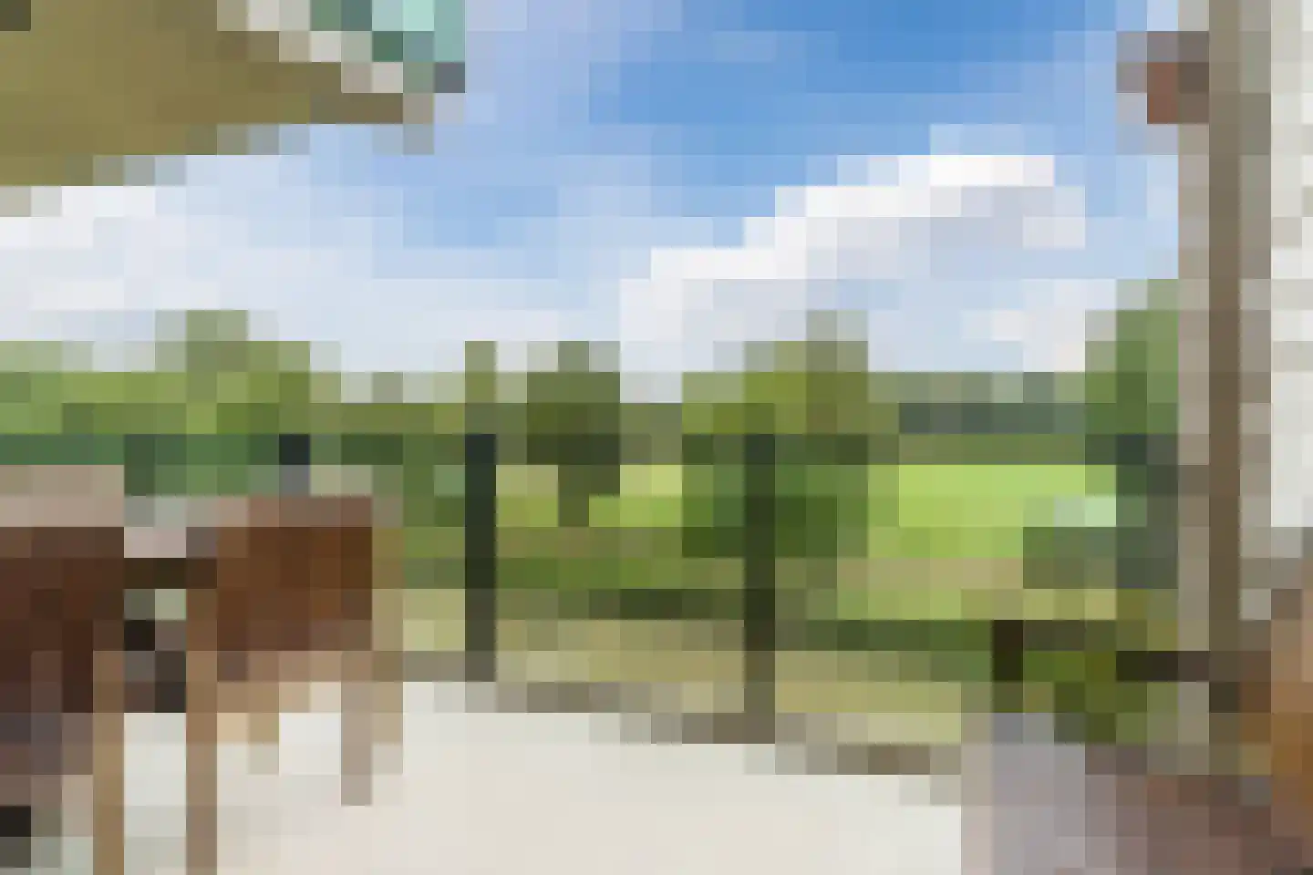 Hoge Wal 49 04 Goirle thumbnail 6