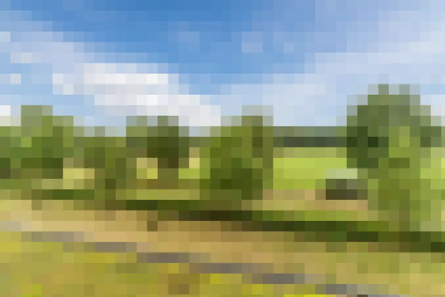 Hoge Wal 49 04 Goirle thumbnail 9