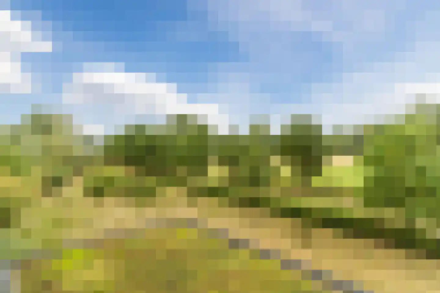 Hoge Wal 49 05 Goirle thumbnail 10