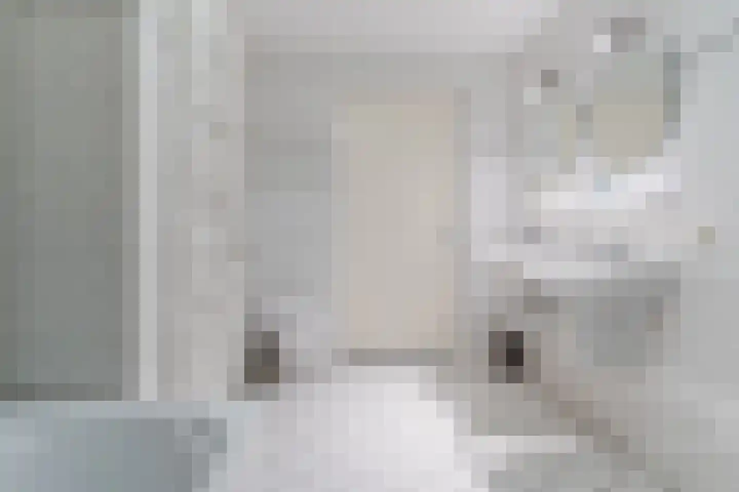 Hoge Wal 49 05 Goirle thumbnail 28
