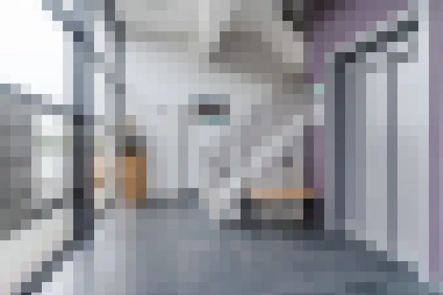 Hoge Wal 49 05 Goirle thumbnail 31