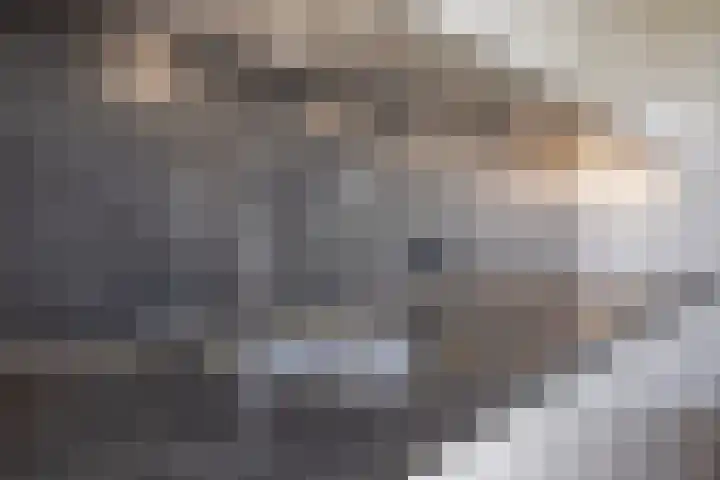 Hoge Wal 49 10 Goirle thumbnail 18