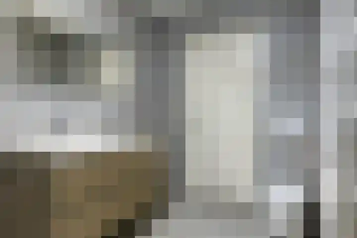 Hoge Wal 49 10 Goirle thumbnail 21