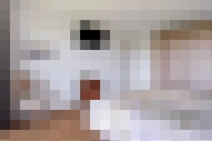 Hoge Wal 49 10 Goirle thumbnail 24