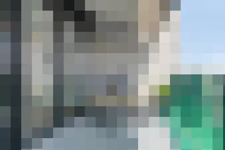 Hoge Wal 49 10 Goirle thumbnail 26