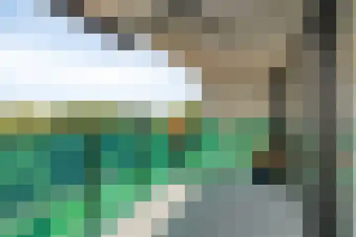 Hoge Wal 49 10 Goirle thumbnail 27