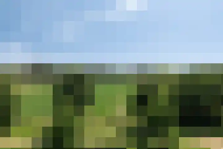 Hoge Wal 49 10 Goirle thumbnail 28