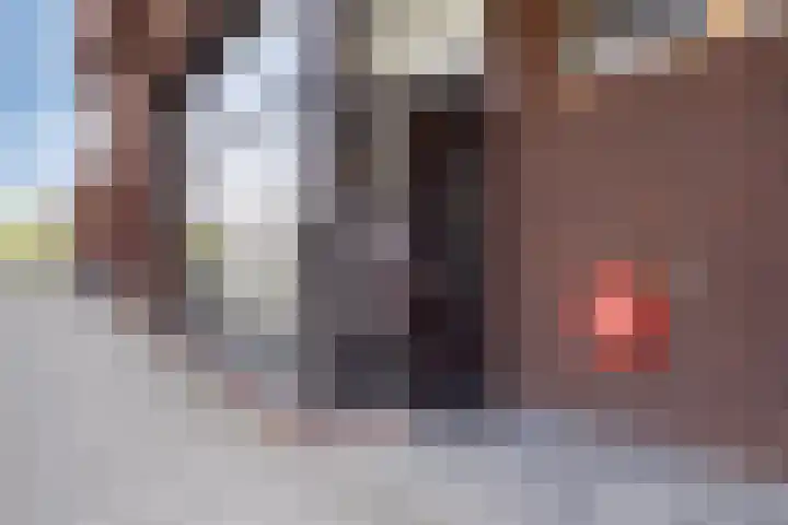 Hoge Wal 49 10 Goirle thumbnail 30