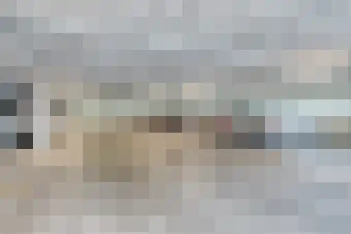 Hoge Wal 49 10 Goirle thumbnail 33