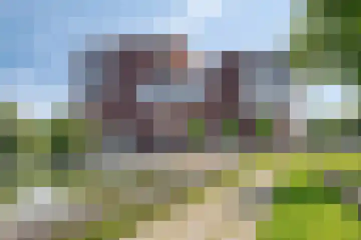 Hoge Wal 49 10 Goirle thumbnail 39