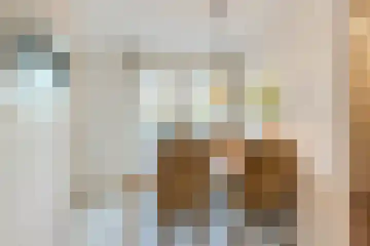 Hoge Wal 66 Goirle thumbnail 10