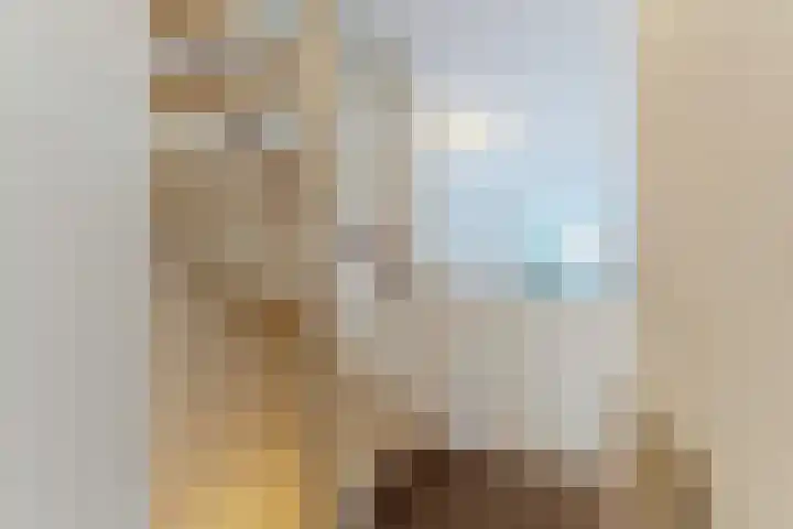 Hoge Wal 66 Goirle thumbnail 15
