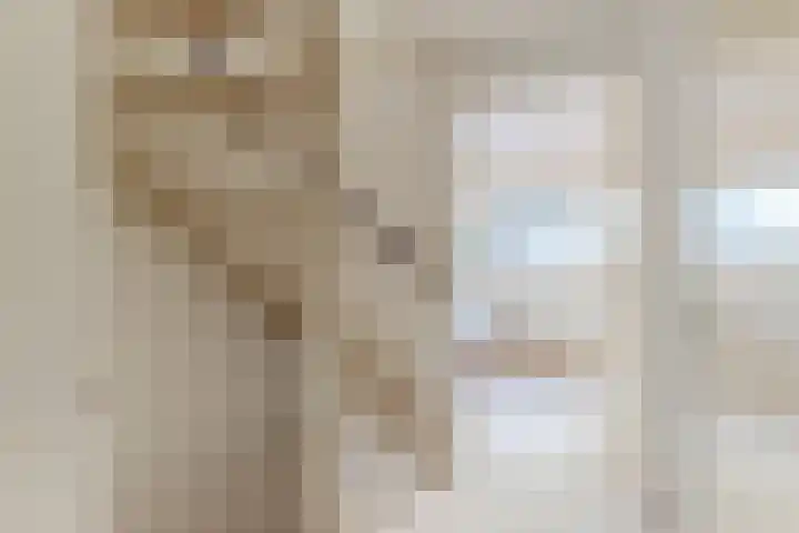 Hoge Wal 66 Goirle thumbnail 19