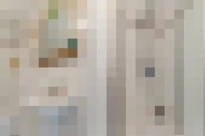 Hoge Wal 66 Goirle thumbnail 28