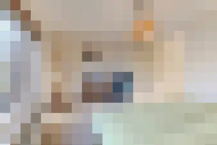 Hoge Wal 66 Goirle thumbnail 34