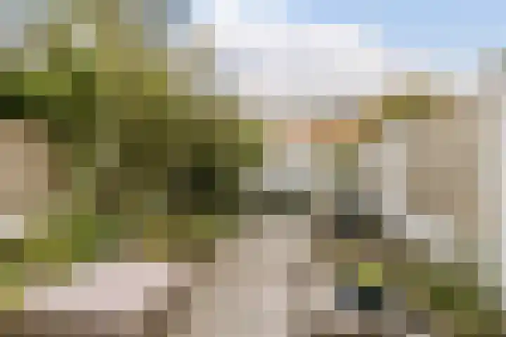 Hoge Wal 66 Goirle thumbnail 38