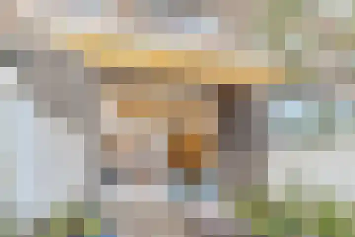 Hoge Wal 66 Goirle thumbnail 40