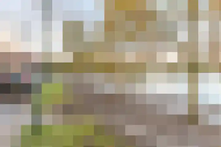 Hoge Wal 66 Goirle thumbnail 43