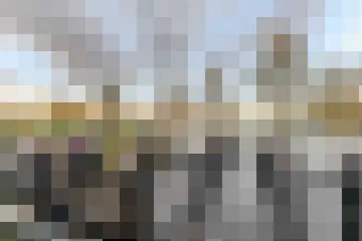 Hoge Wal 66 Goirle thumbnail 45