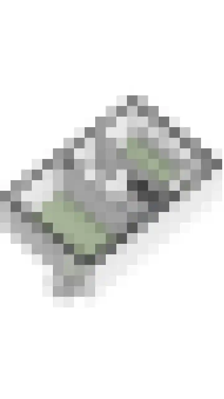 Hoge Wal 66 Goirle thumbnail 55