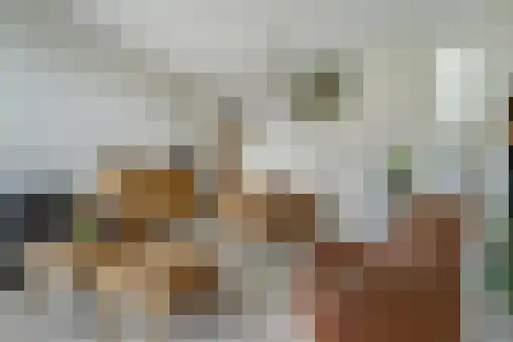 Hoge Wal 78 Goirle thumbnail 17