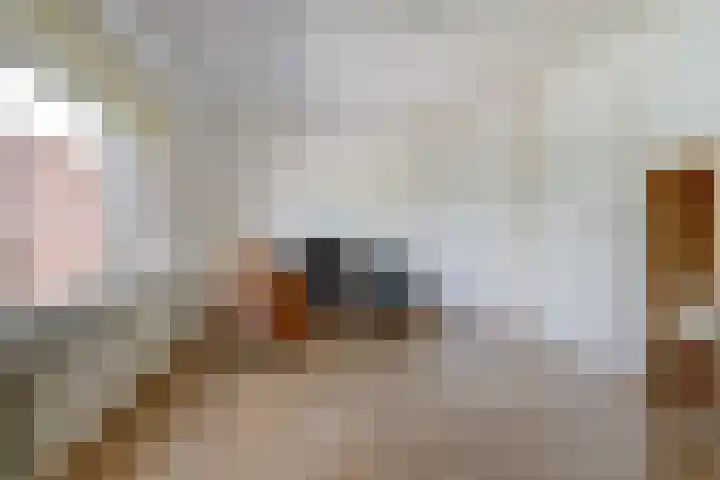 Hoge Wal 78 Goirle thumbnail 28