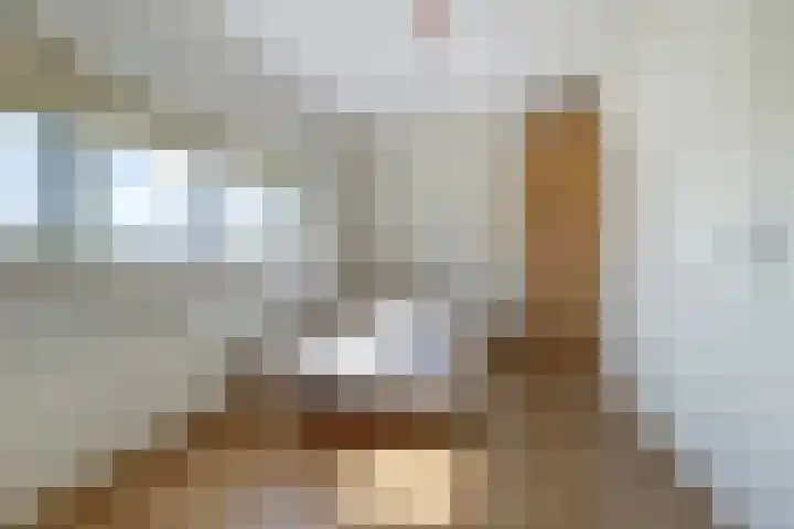 Hoge Wal 78 Goirle thumbnail 30