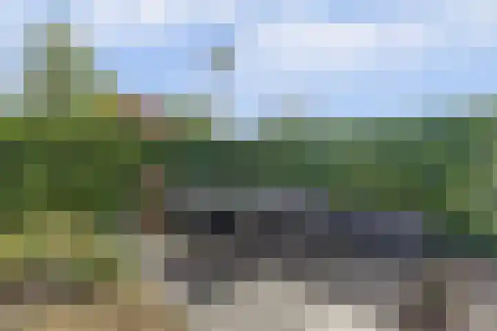 Hoge Wal 78 Goirle thumbnail 36