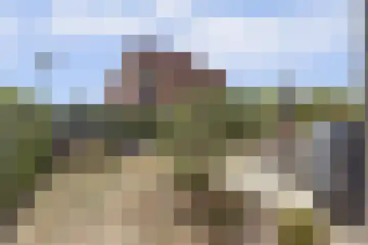 Hoge Wal 78 Goirle thumbnail 37