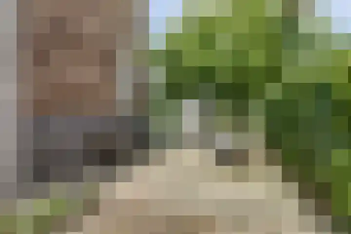 Hoge Wal 78 Goirle thumbnail 39