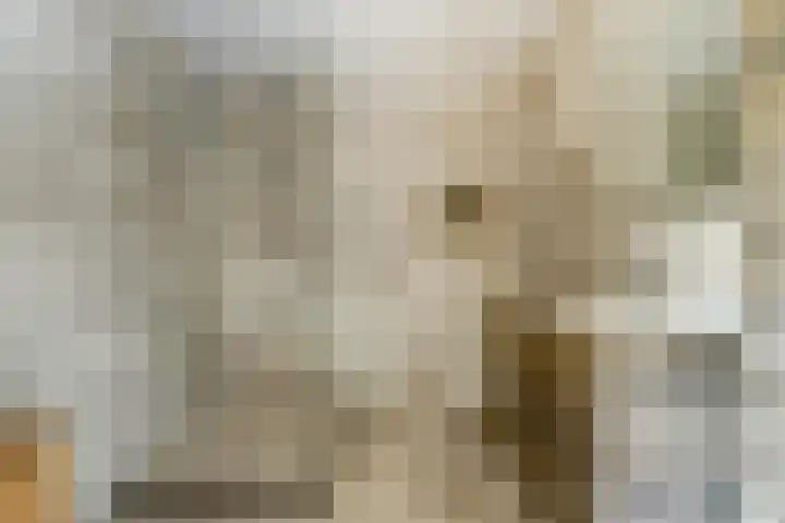 Hoge Wal 78 Goirle thumbnail 4
