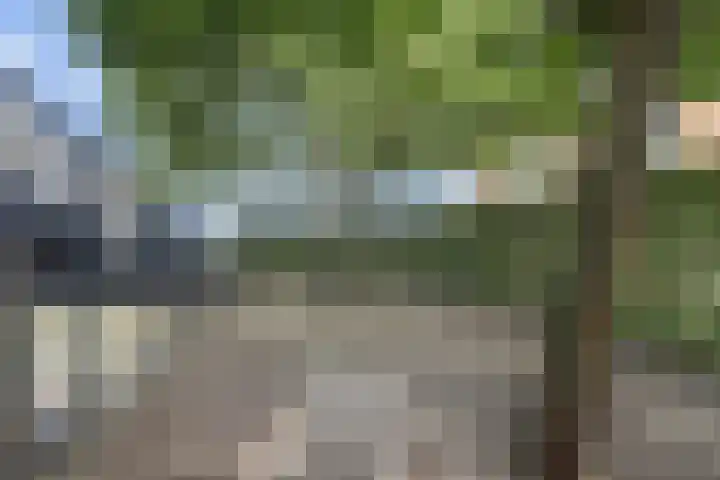 Hoge Wal 78 Goirle thumbnail 40