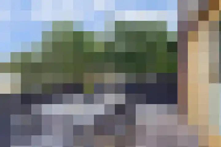 Hoge Wal 78 Goirle thumbnail 9