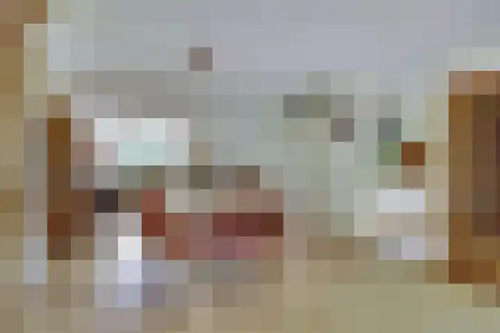 Hoge Wal 88 Goirle thumbnail 11