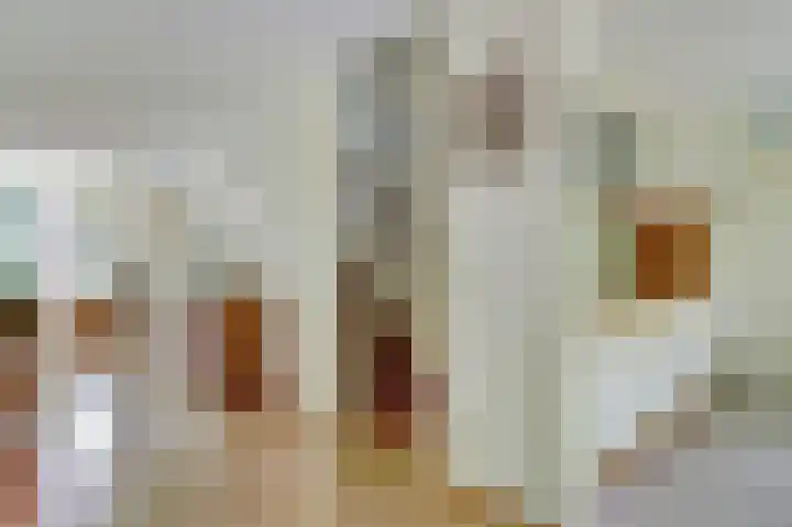 Hoge Wal 88 Goirle thumbnail 12