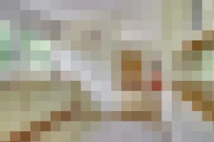 Hoge Wal 88 Goirle thumbnail 13