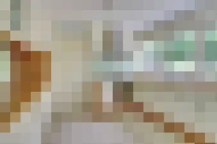 Hoge Wal 88 Goirle thumbnail 16