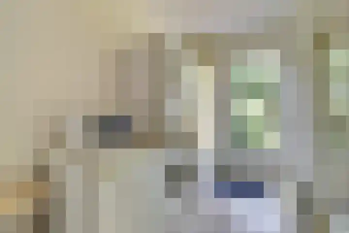 Hoge Wal 88 Goirle thumbnail 18
