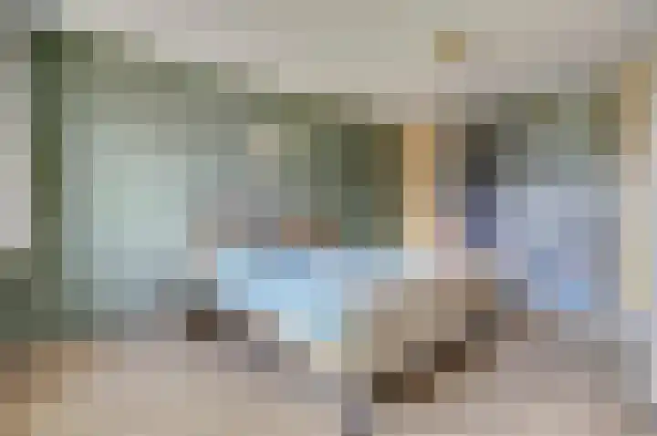 Hoge Wal 88 Goirle thumbnail 20
