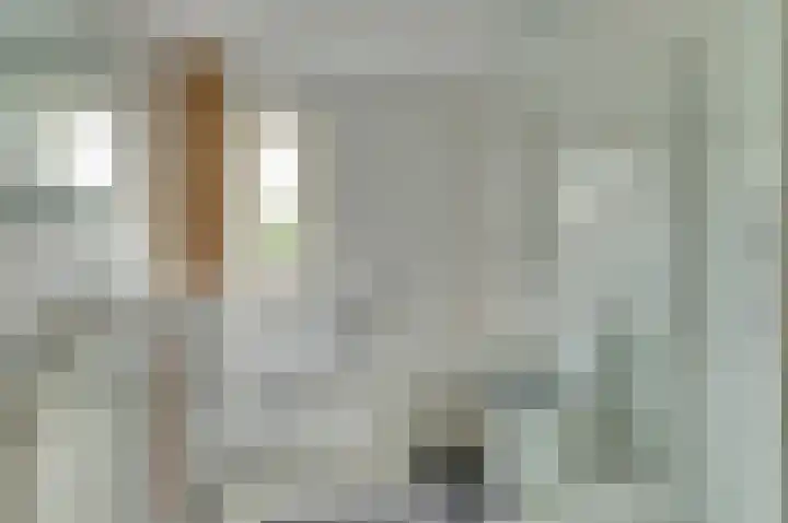 Hoge Wal 88 Goirle thumbnail 26