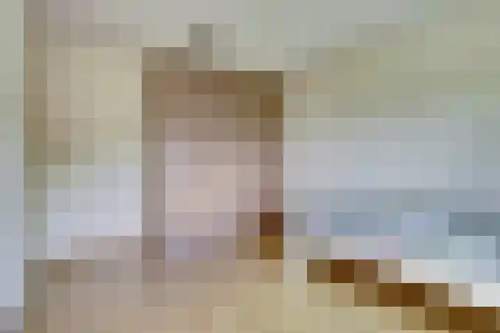 Hoge Wal 88 Goirle thumbnail 30