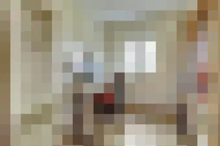 Hoge Wal 88 Goirle thumbnail 31
