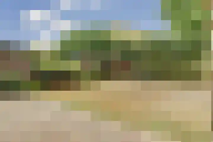 Hoge Wal 88 Goirle thumbnail 35
