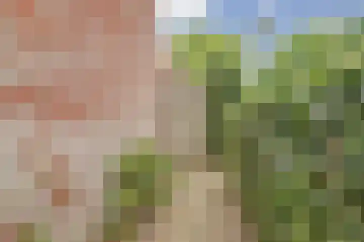 Hoge Wal 88 Goirle thumbnail 36