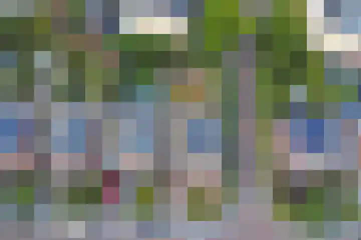 Hoge Wal 88 Goirle thumbnail 37