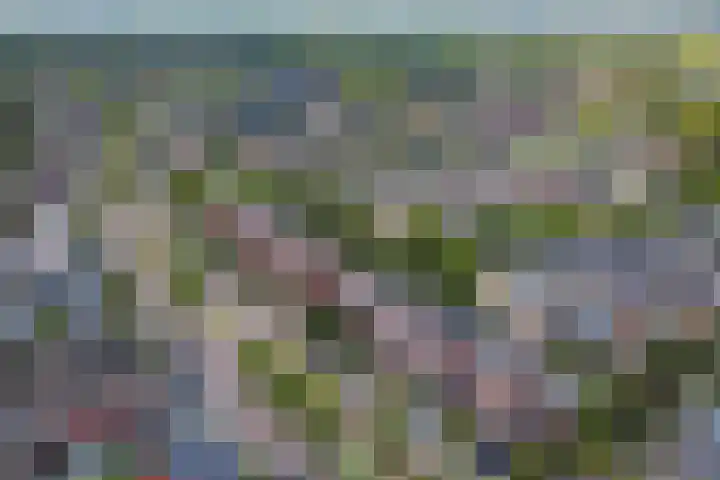 Hoge Wal 88 Goirle thumbnail 38