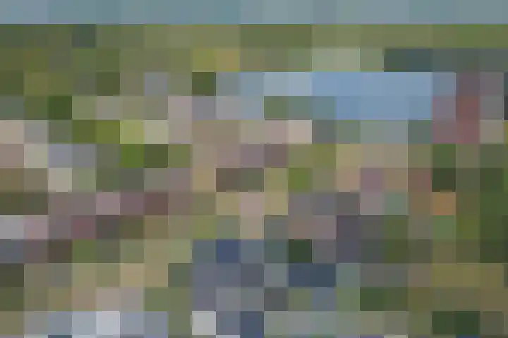 Hoge Wal 88 Goirle thumbnail 39